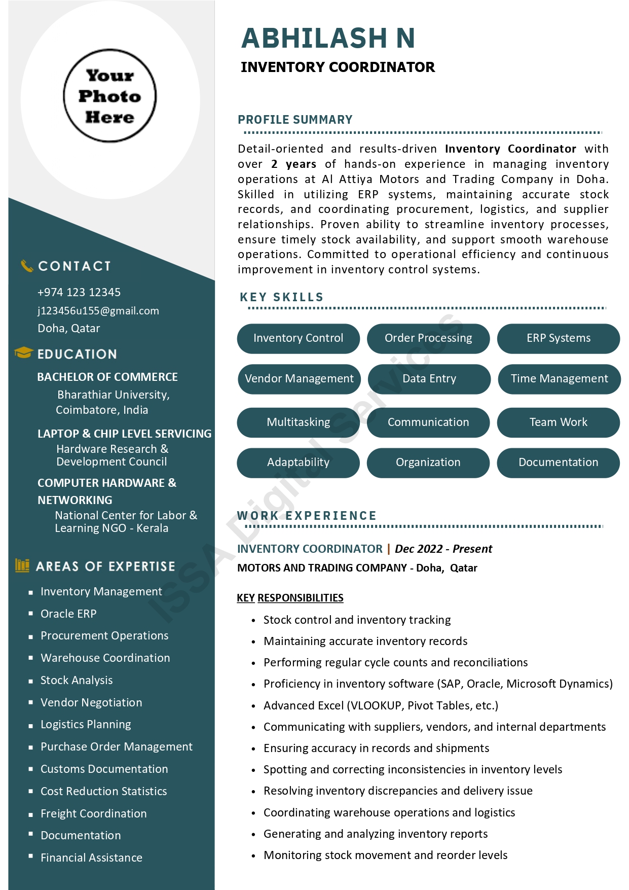 Professional CV Sample Design